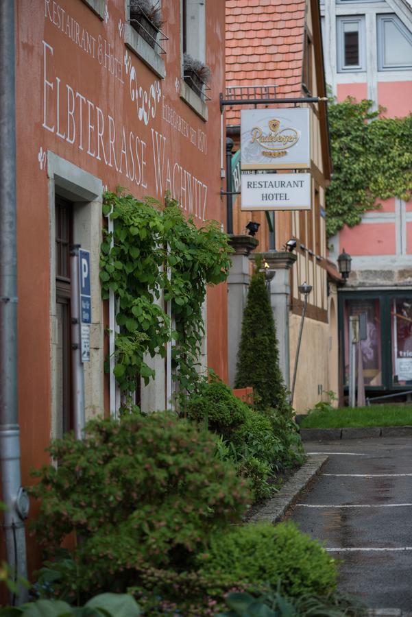Hotel Elbterrasse Wachwitz Drážďany Exteriér fotografie